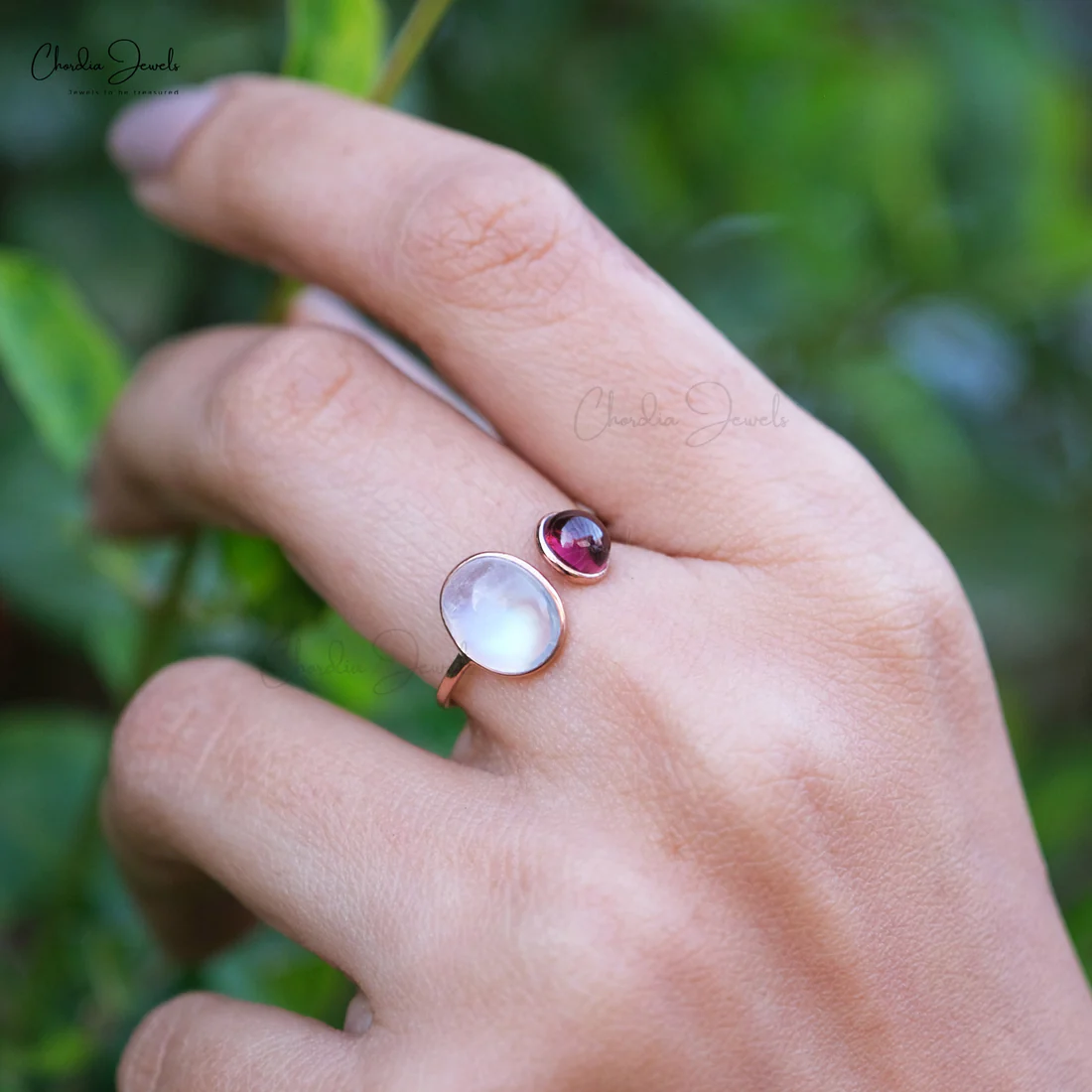 Bezel